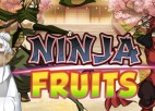 Ninja Fruits Video Slot Machine