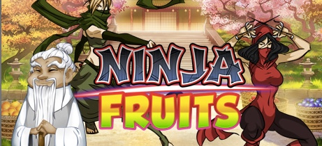 Ninja Fruits Video Slot Machine